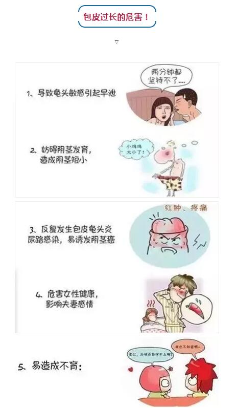 包皮 (4).jpg
